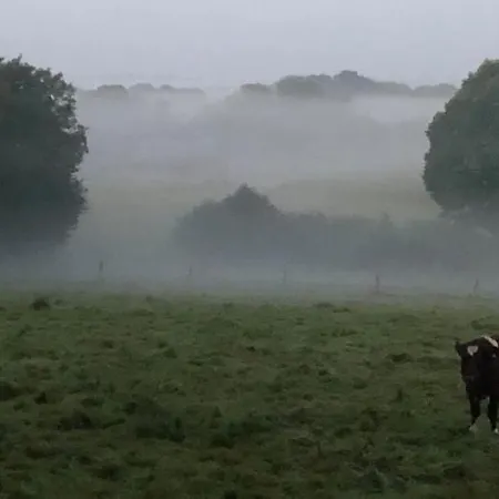 Panzió Double & Family In Tranquility In Blue Saint-Mars-sur-la-Futaie