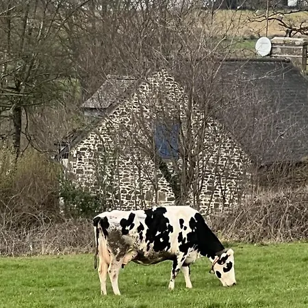 Double & Family In Tranquility In Blue Panzió *
