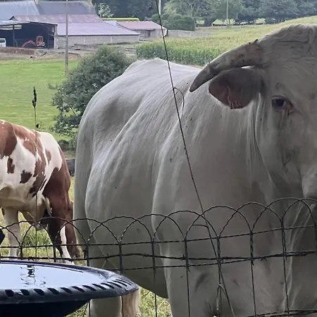 Double & Family In Tranquility In Blue Panzió *