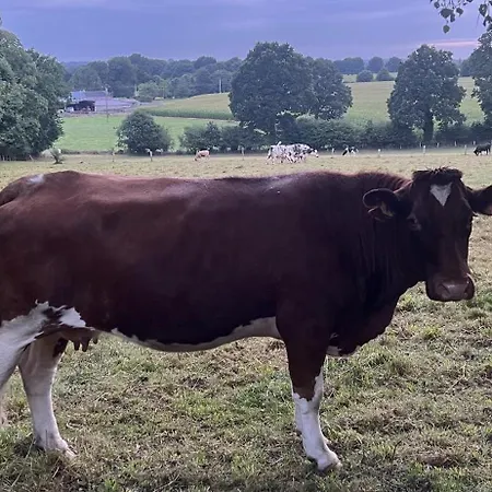 Double & Family In Tranquility In Blue Panzió Saint-Mars-sur-la-Futaie