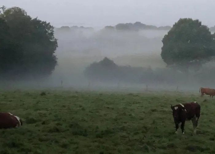 B&B Double & Family In Tranquility In Blue Saint-Mars-sur-la-Futaie