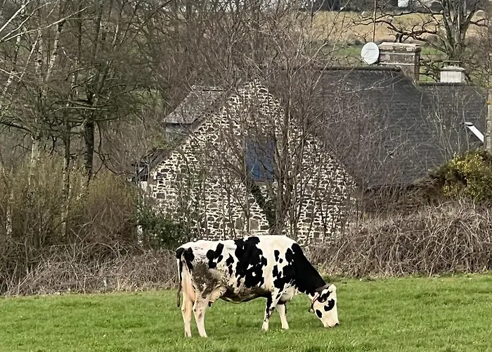 Double & Family In Tranquility In Blue B&B *