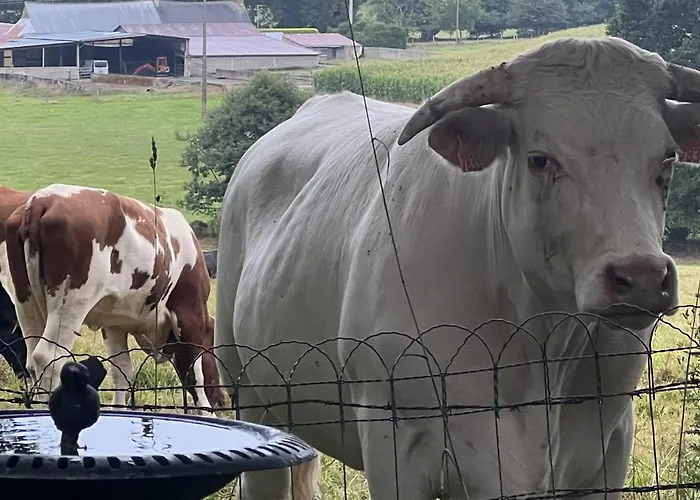 Double & Family In Tranquility In Blue B&B *